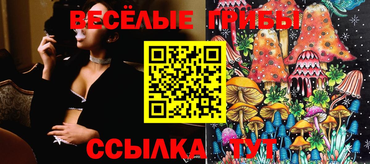 Псилоцибиновые грибы MAGIC MUSHROOMS Усолье-Сибирское